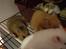 Hamster Sally