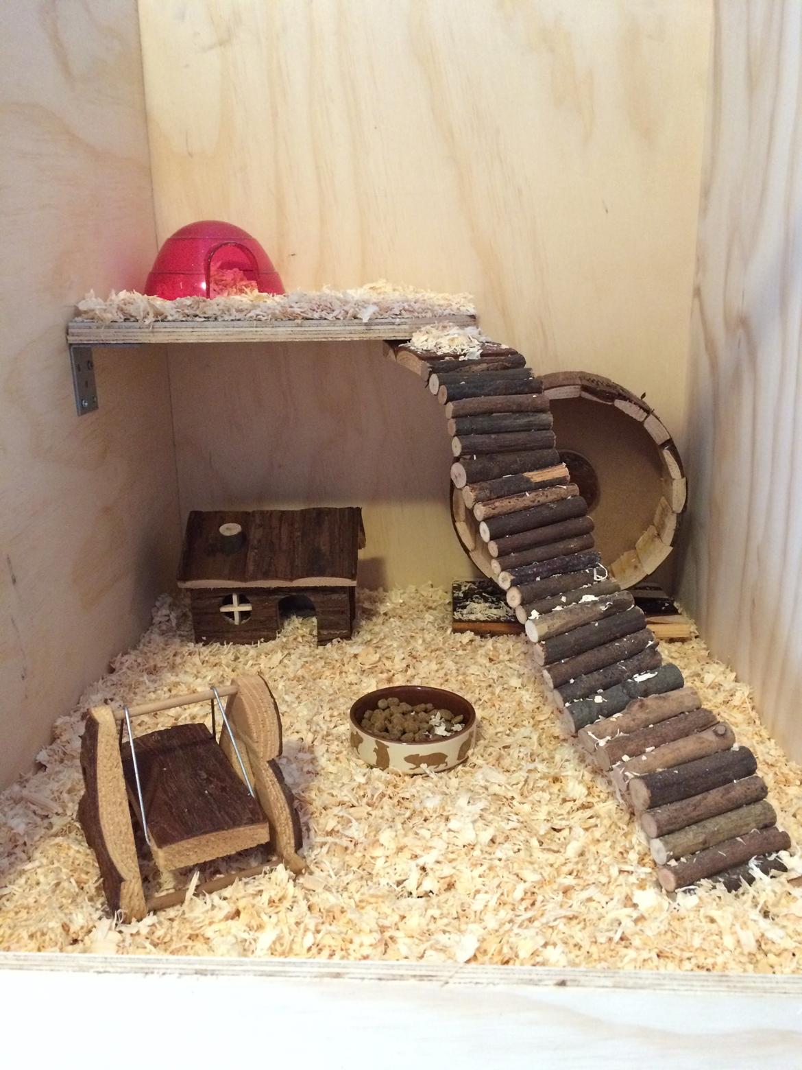 Hamster Cirkeline billede 12