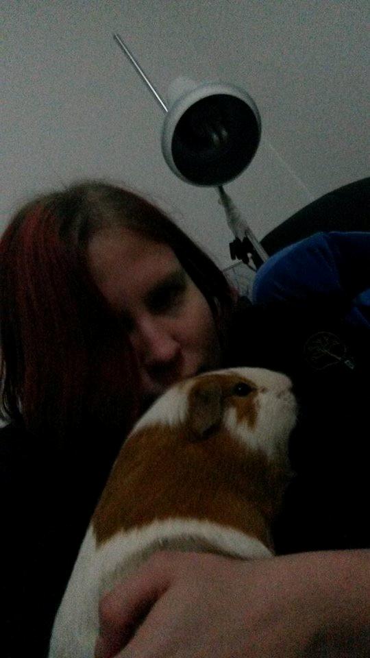 Marsvin Darvin Archemides billede 33