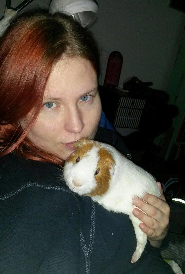 Marsvin Darvin Archemides billede 29