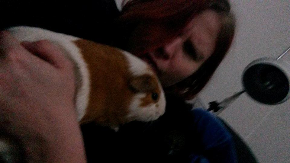 Marsvin Darvin Archemides billede 34