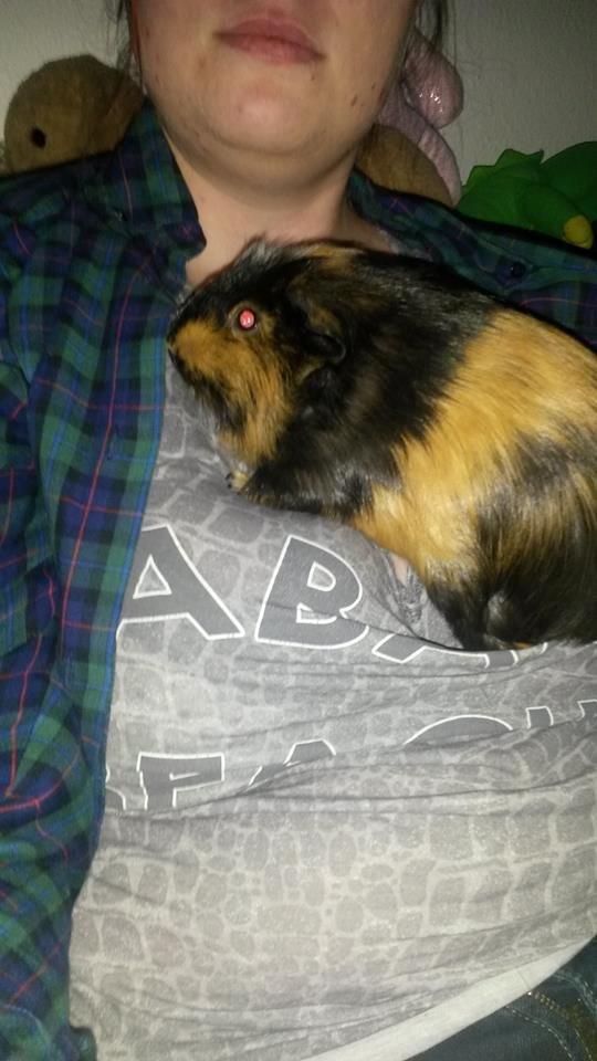 Marsvin The Minnow billede 14