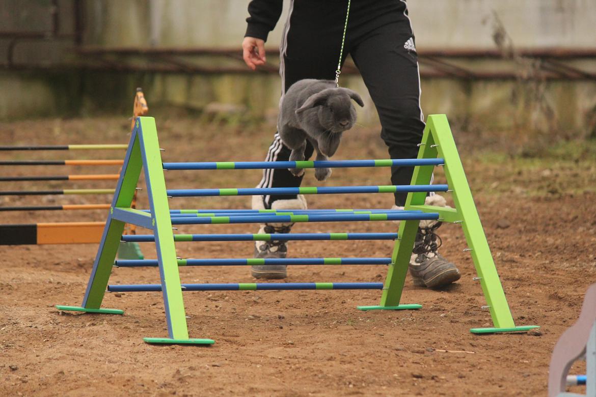 Kanin Funnys Obsessed With Me billede 1