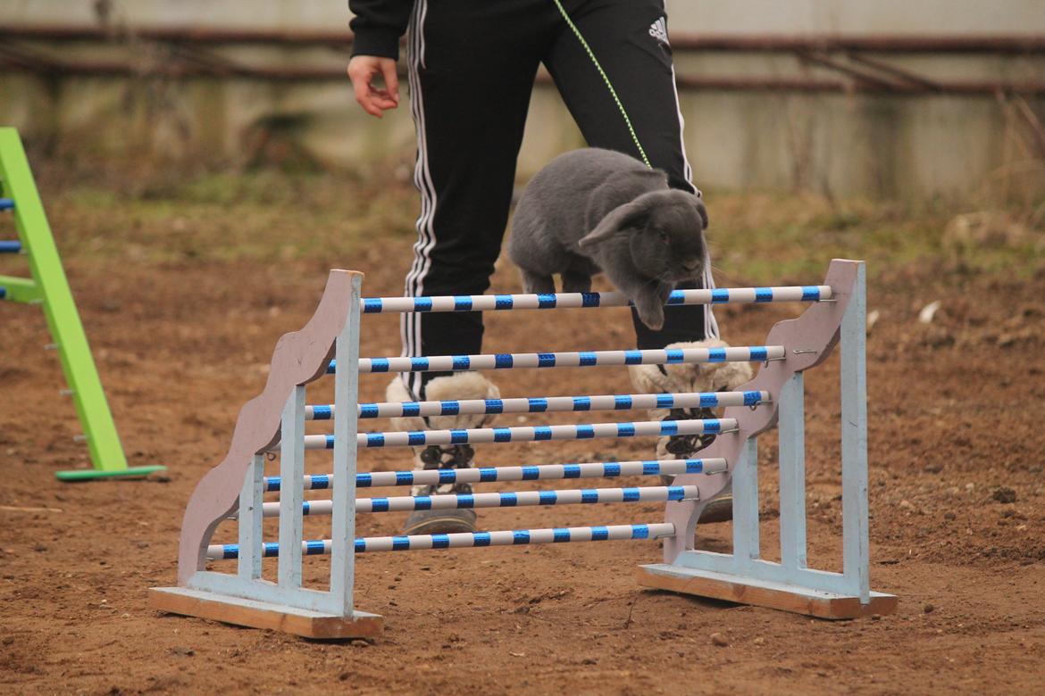 Kanin Funnys Obsessed With Me billede 10