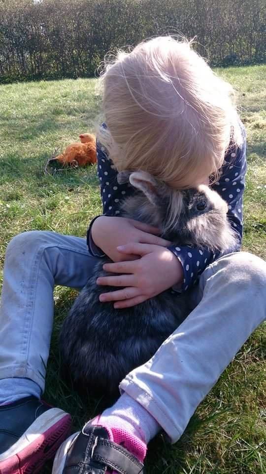 Kanin Mille billede 10