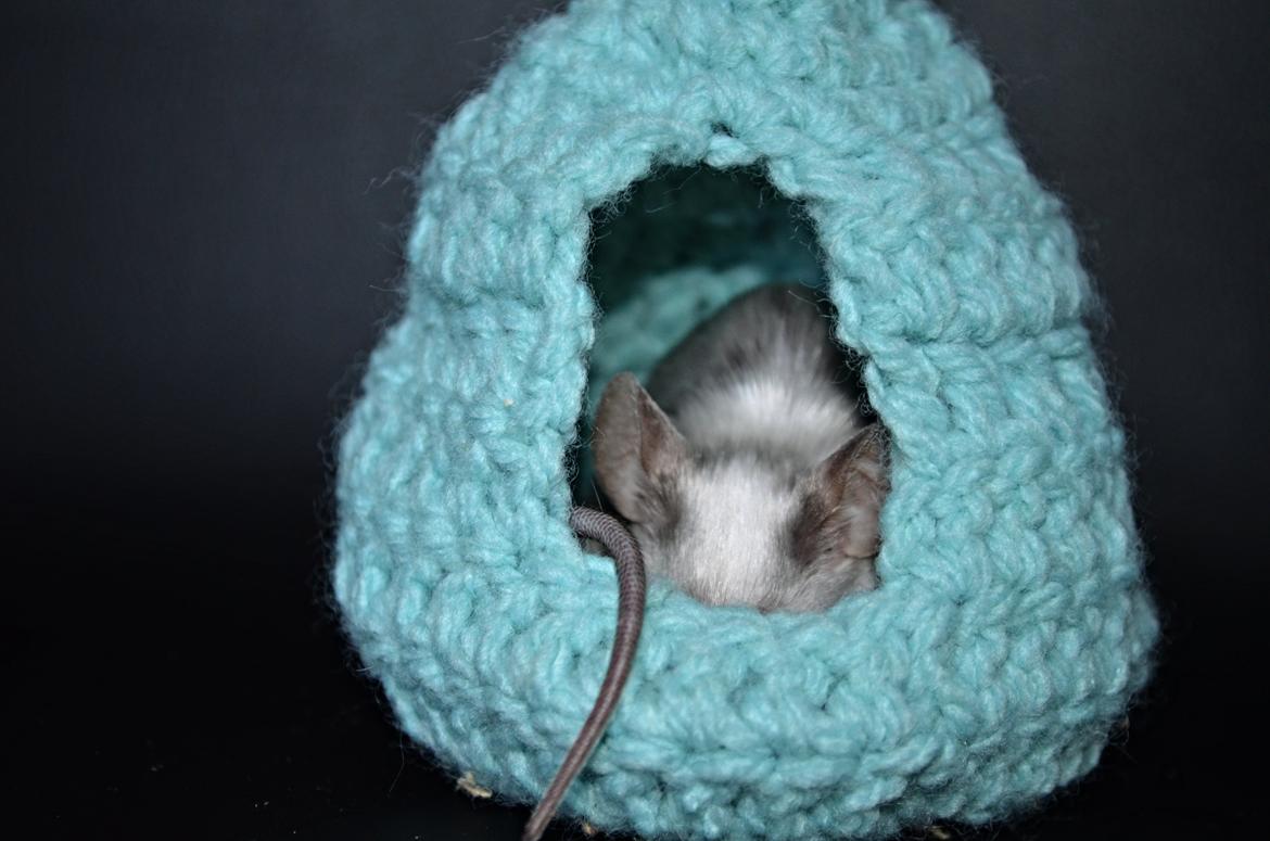 Mus Vejlmus' Ebay [Himmelgnaver] billede 28