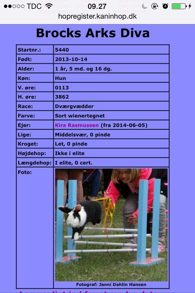 Kanin Brocks Arks Diva billede 12
