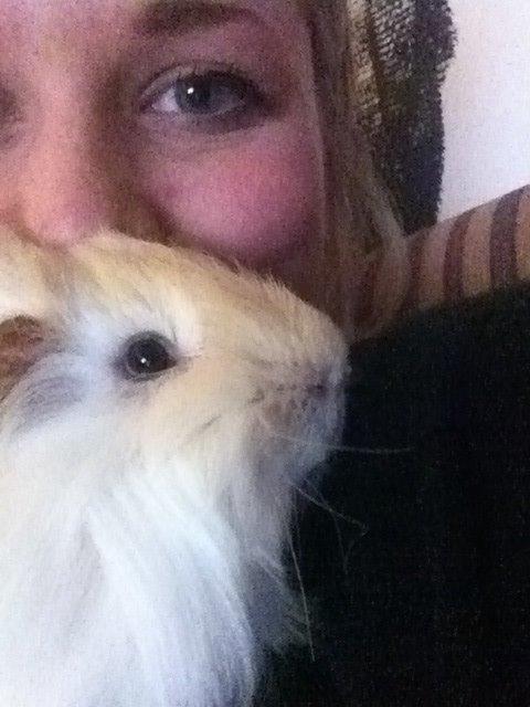 Marsvin Pelle billede 15