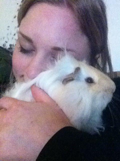 Marsvin Pelle billede 17