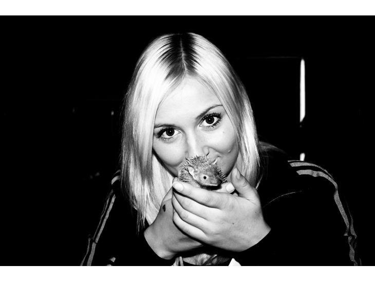 Pindsvin Millan (Tenrec) billede 13