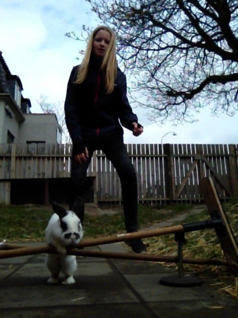 Kanin Panda R.I.P - Du var så dygtig<3 billede 16