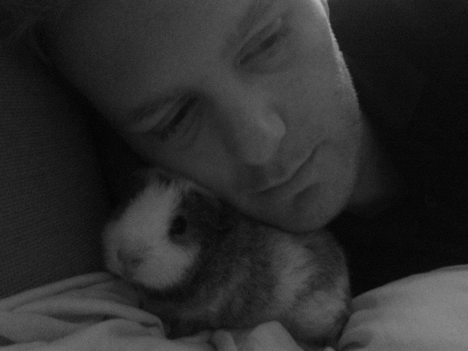 Marsvin Manfred billede 4