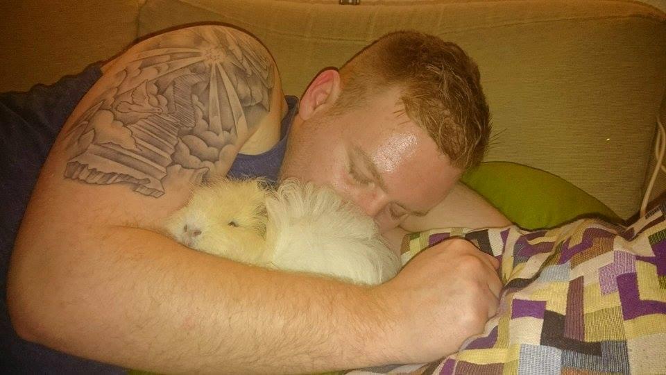 Marsvin Knut billede 10