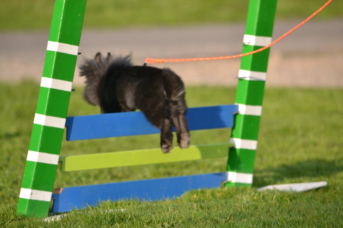 Kanin Kaninbandens BlackBerry billede 10