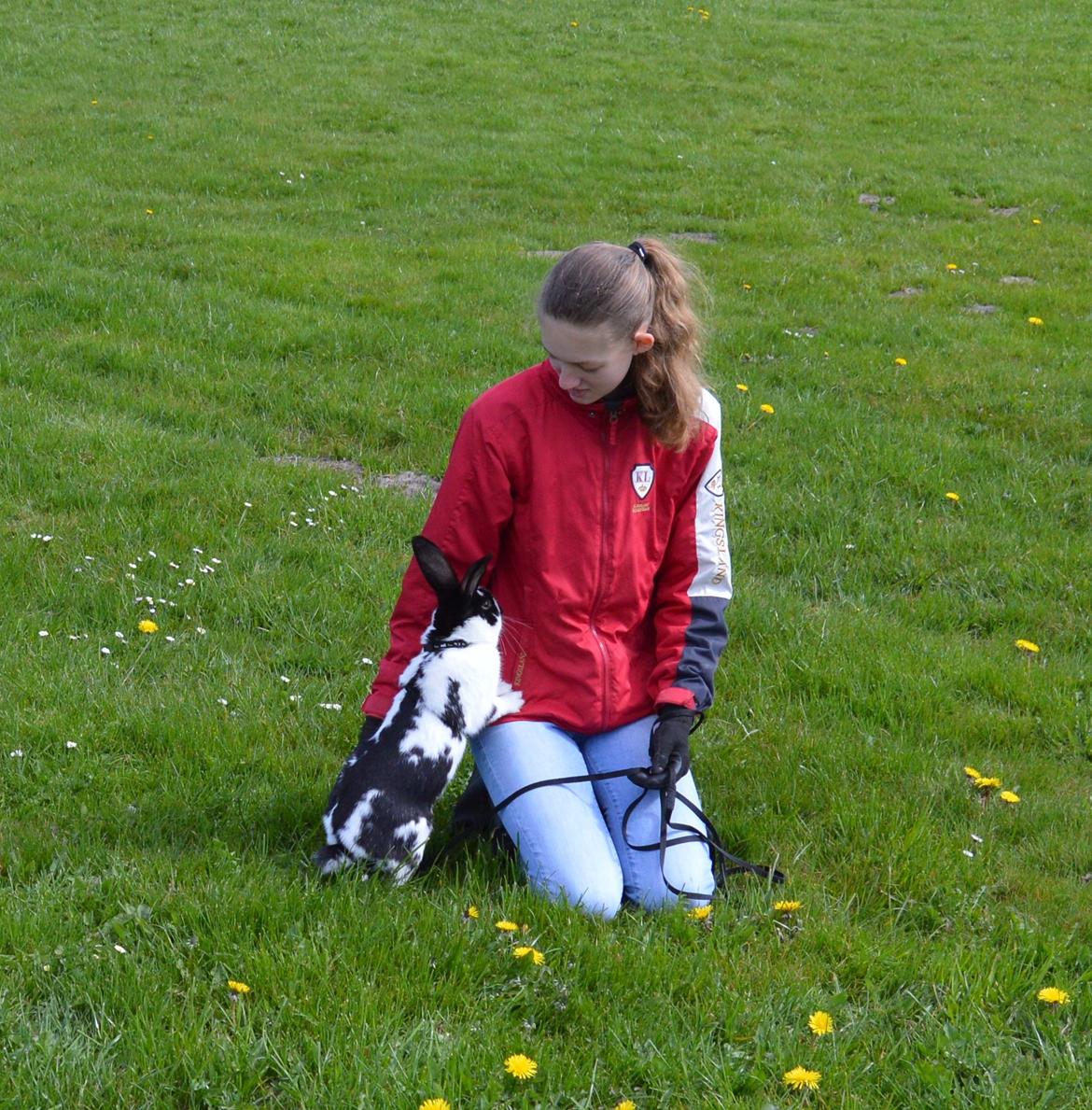 Kanin Vimse aka. "Nullerungen" - april 2015 billede 5