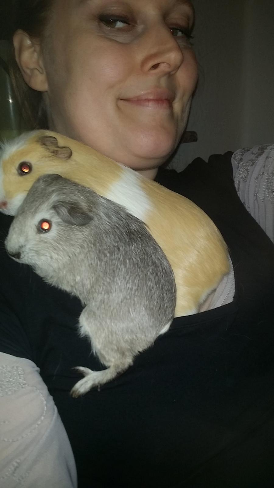 Marsvin Ole - Kathrine og Olga ♡♡ billede 10