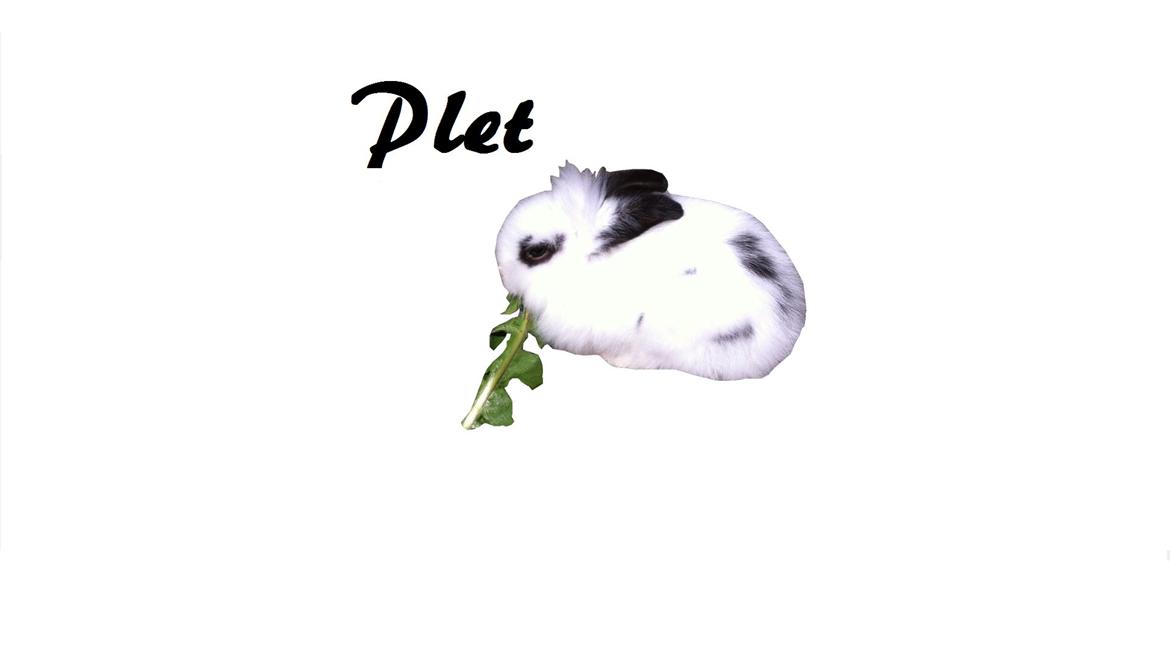 Kanin Plet R.I.P min lille plettimus <3 - Edit på GIMP 2 :)) billede 29