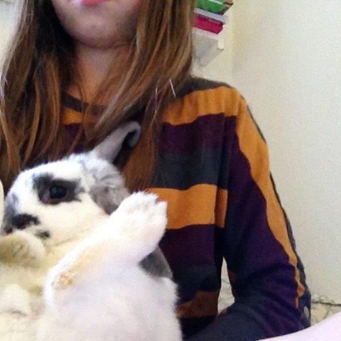 Kanin Sofus R.I.P! Sov sødt <3 :( billede 16