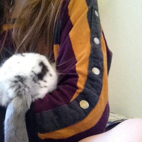 Kanin Sofus R.I.P! Sov sødt <3 :( billede 15