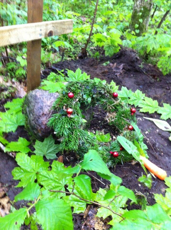 Kanin Plet R.I.P min lille plettimus <3 billede 33