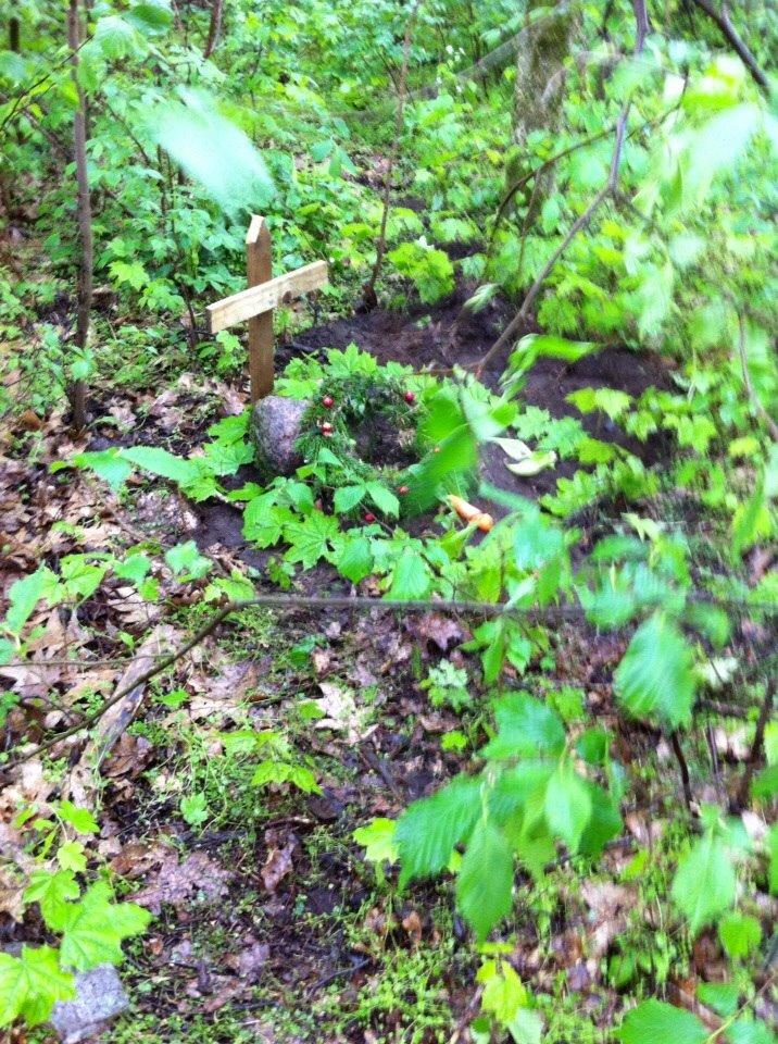 Kanin Plet R.I.P min lille plettimus <3 billede 34