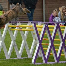 Kanin | Oceans GCh. Dance Into The Light af Bella