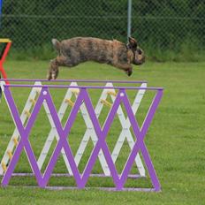 Kanin | Oceans GCh. Dance Into The Light af Bella