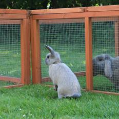 Kanin Sommerly's Jellyfish Cloud