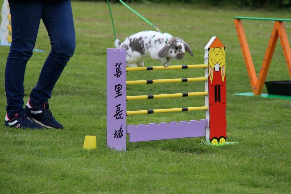 Kanin Dolls Inpavidus Herakles billede 20