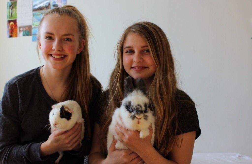 Kanin Pontus billede 13