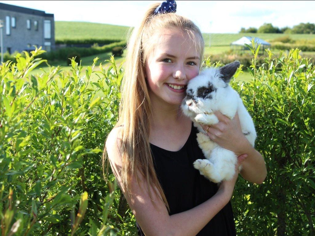 Kanin Pontus billede 14