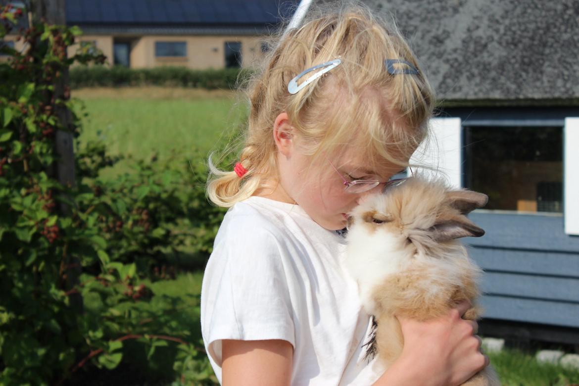 Kanin Gandrups Junior billede 9