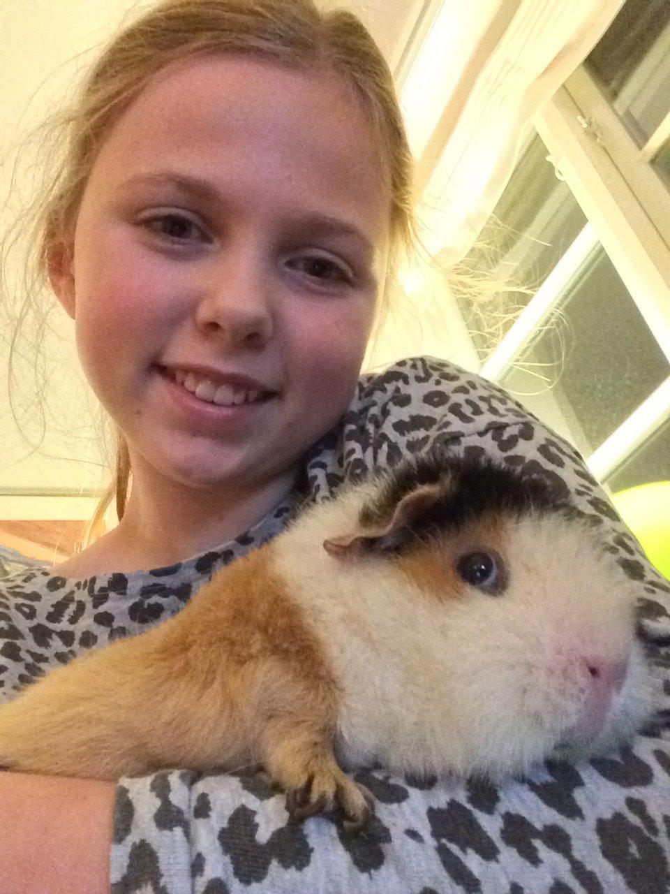 Marsvin Putte - velkommen til Puttes profil 🐹😎😘 billede 1