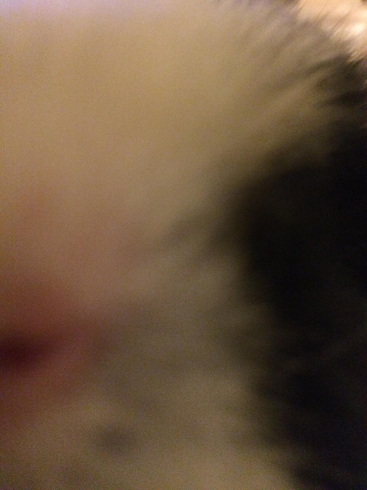 Marsvin Putte - er kameraet spænende Putte 🙀📷 billede 2