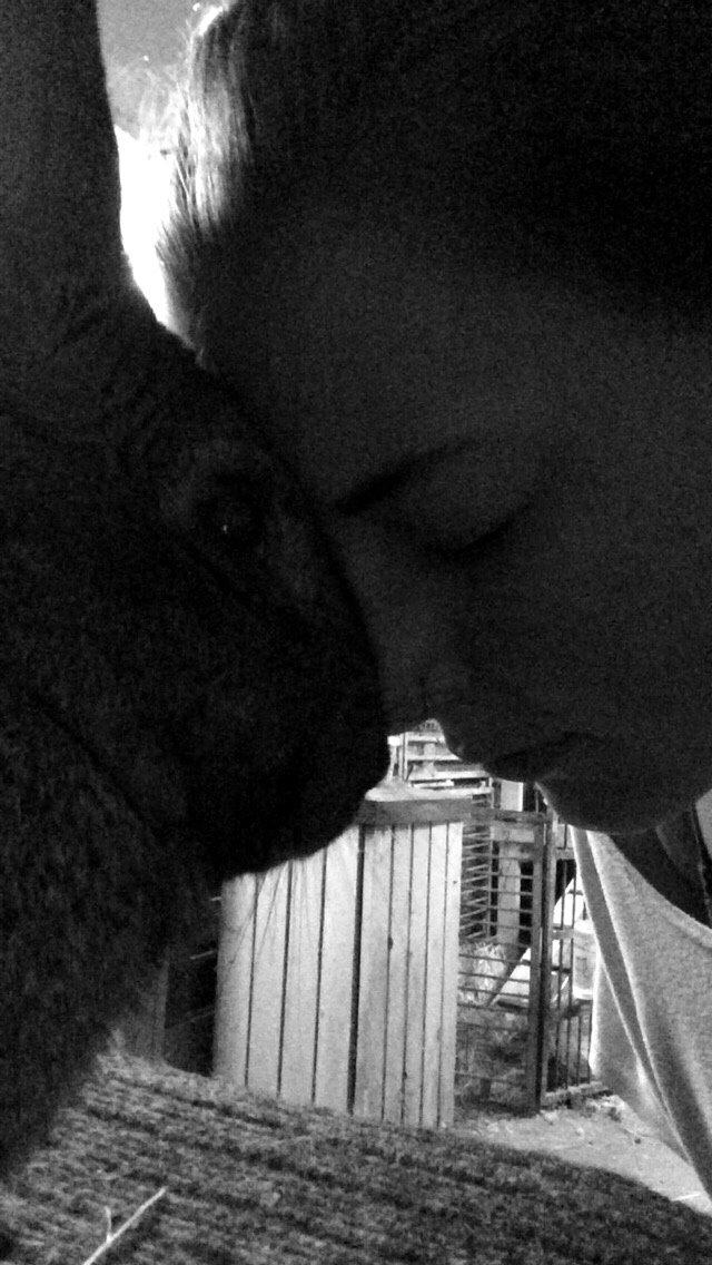 Kanin Stald Jordbro's Filur billede 9