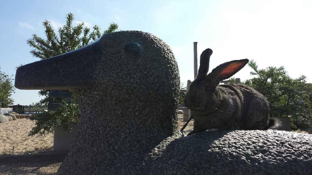 Kanin Stald Jordbro's Filur billede 11