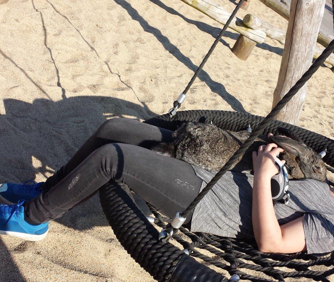 Kanin Stald Jordbro's Filur billede 19