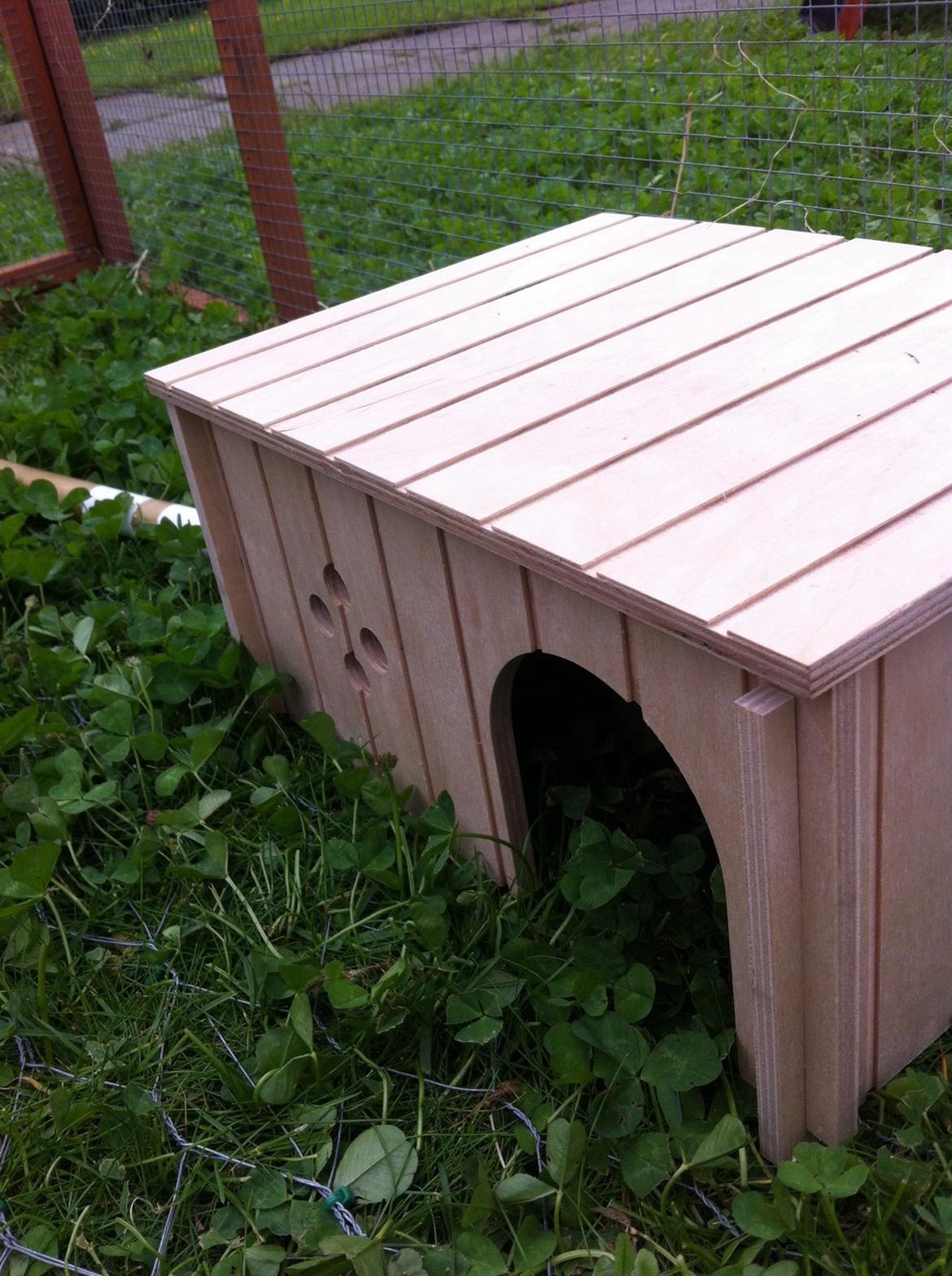 Kanin Silke billede 5