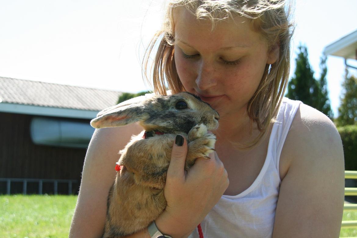 Kanin Unik`s Filur billede 24