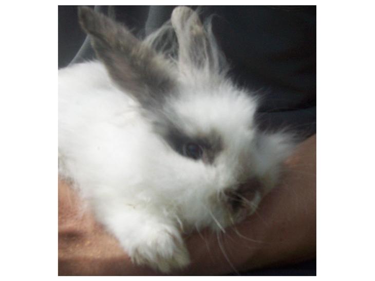 {{currentPhoto.altText}} billede {{currentPhoto.number}}