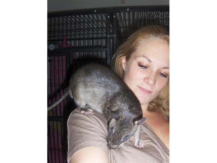 {{currentPhoto.altText}} billede {{currentPhoto.number}}