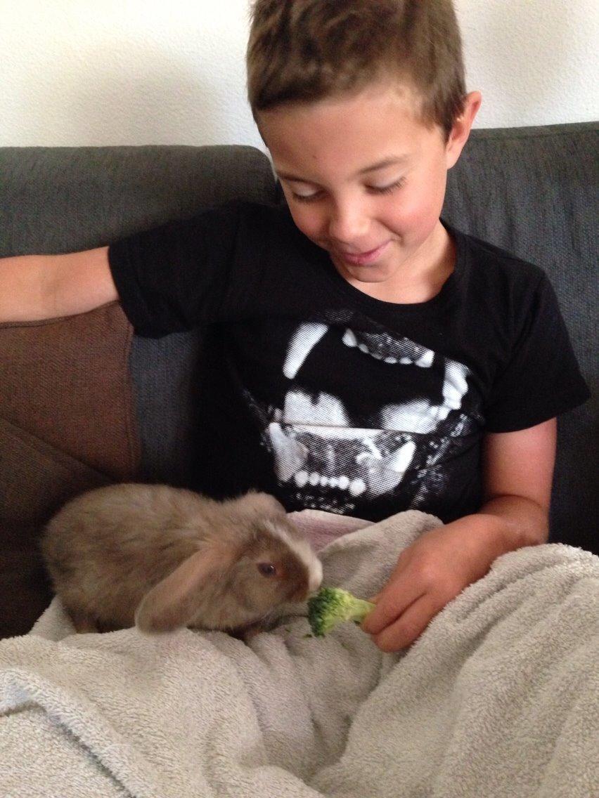 Kanin Luca *R.I.P*<3 billede 6