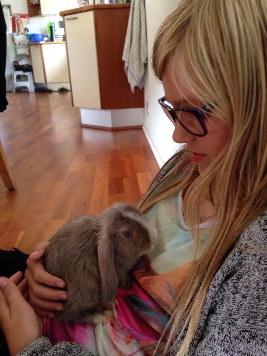 Kanin Luca *R.I.P*<3 billede 7