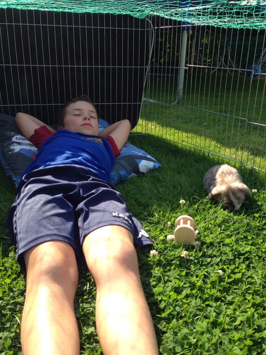 Kanin Luca *R.I.P*<3 billede 13