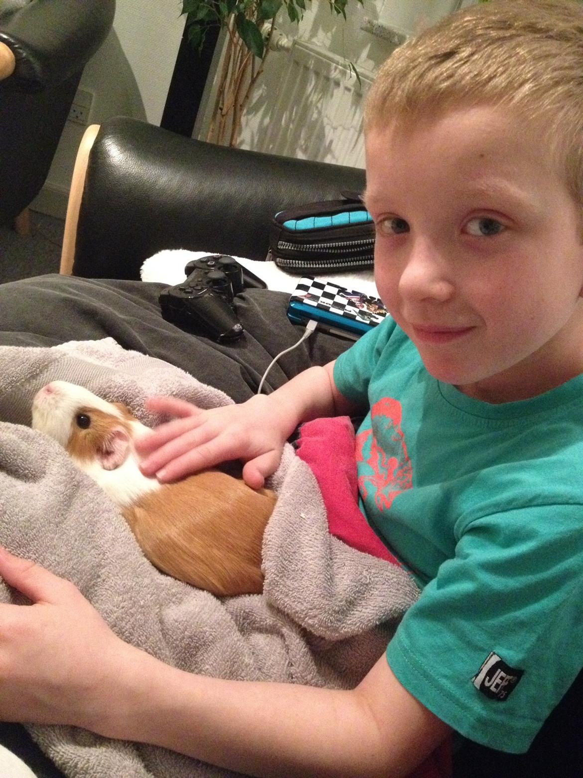 Marsvin Chili billede 2