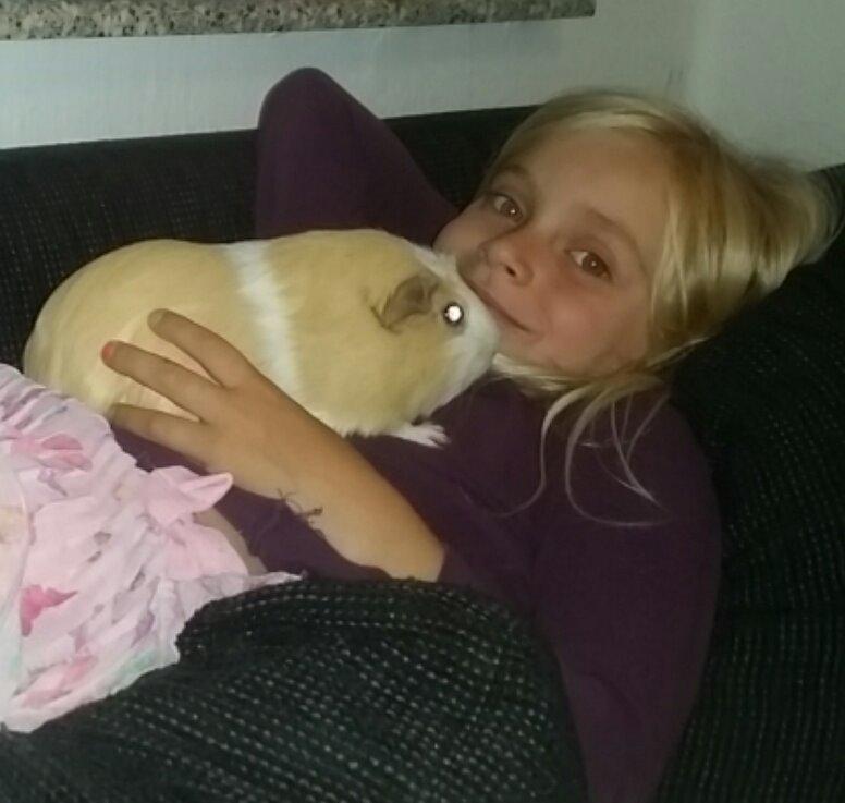 Marsvin Ole - Sofie og Katrutski (Kathrine) ♡♡ billede 14