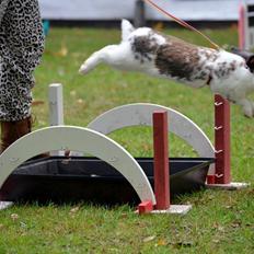 Kanin Taharas Farida Mugisha