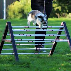 Kanin Taharas Farida Mugisha