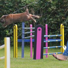 Kanin Eskirs Ziyu Al Yaqoub