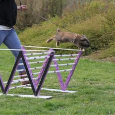 Kanin Eskirs Ziyu Al Yaqoub